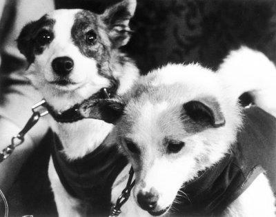 Belka ja Strelka